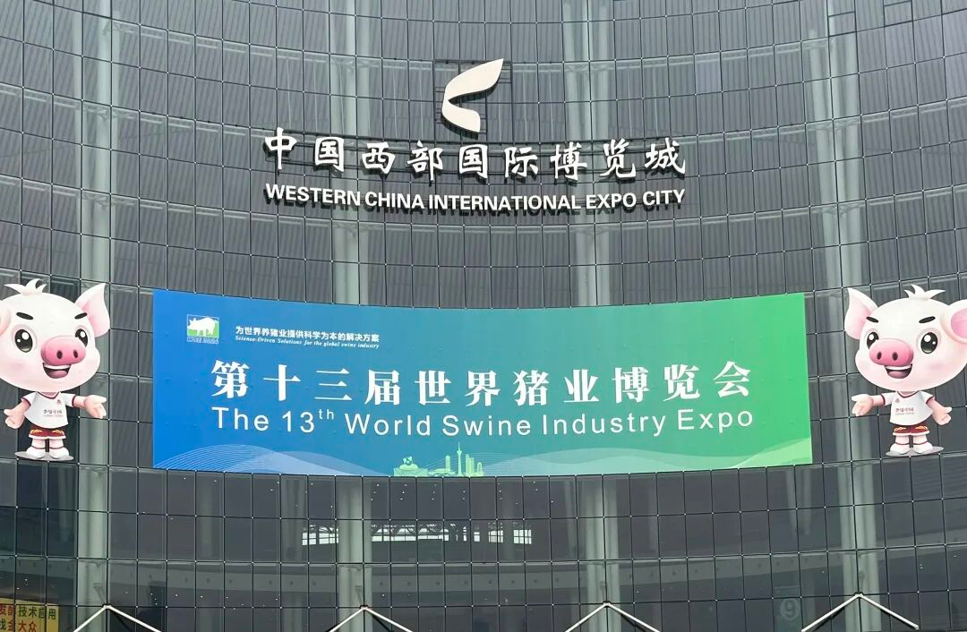 图片22.png