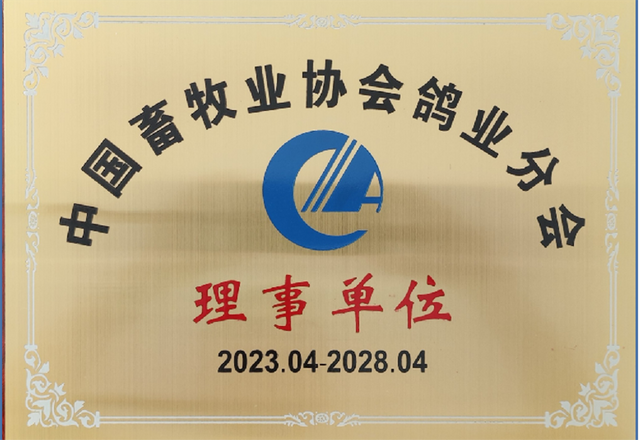 图片7