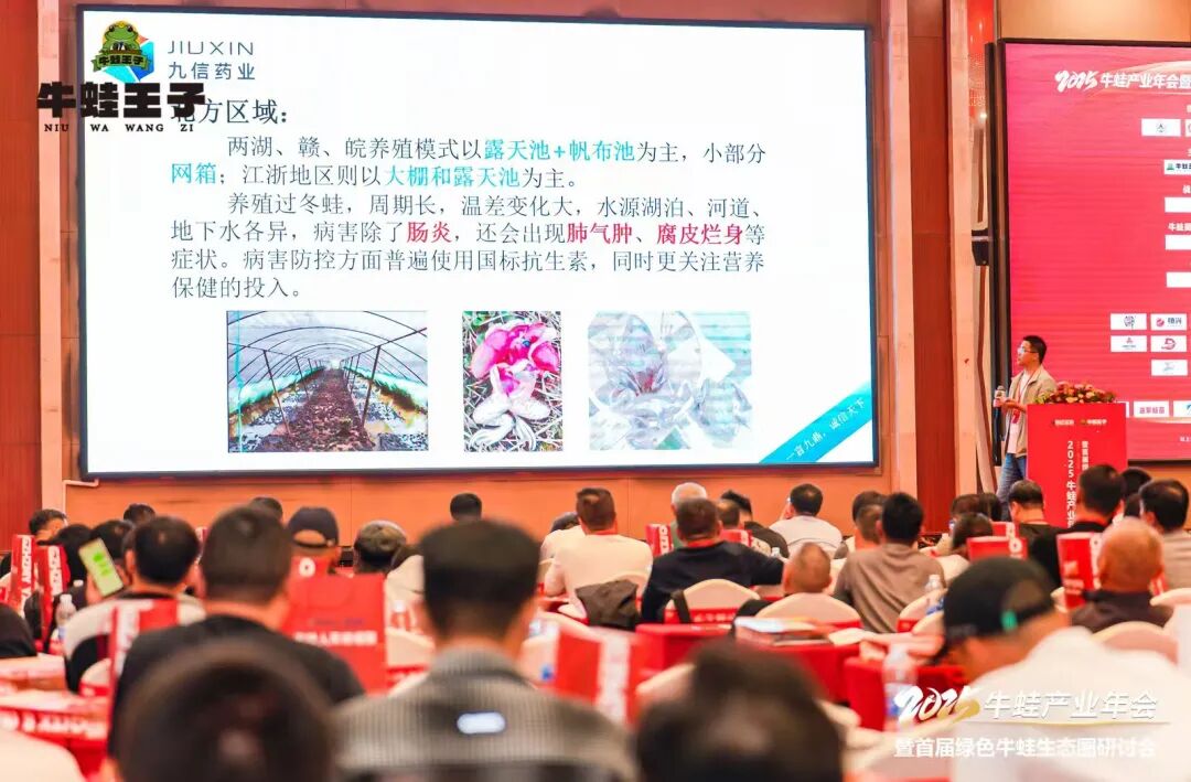 如何少花药钱多养蛙？九信药业在牛蛙年会分享防控新思路