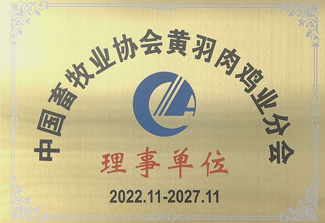 黄羽肉鸡